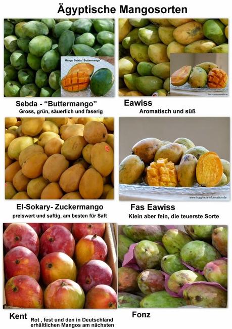 Ägyptische Mangosorten Vergleich