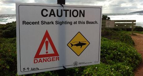 tödlichsten Tiere Australiens Vorsicht Hai Schild 