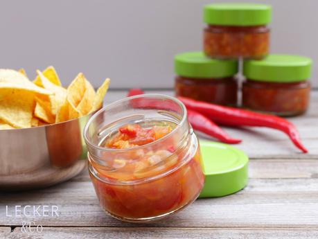 Nacho Salsa-Dip Nacho Salsa-Dip
