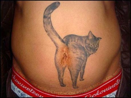 ugly ink on belly cat with big anus