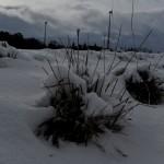 Schneespaziergang um Michelbach im Hunsrück