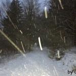 Schneespaziergang im Soonwald