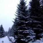Schneespaziergang im Soonwald