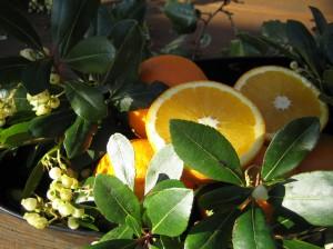Vitamin C-Spender Orangen