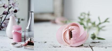 Makro Montag  |  Think Pink!