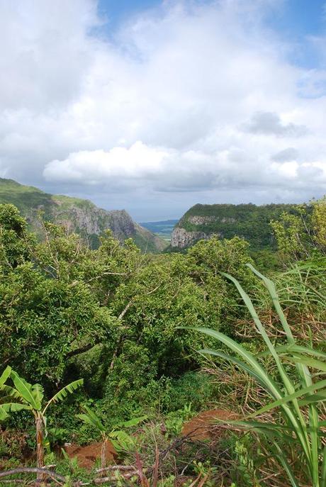 07_Berge-im-Westen-von-Mauritius-Nature-Trails-Ausflug