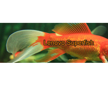 Viele Anwendungen verbreiten Superfish-Sicherheitslücke