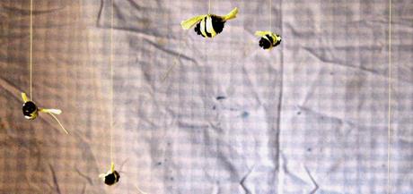 creadienstag - Bienen DIY aus Erlensamen