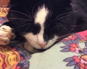 Immer wieder Mittwochs! #1 Oder: Nur weil ich anders bin!