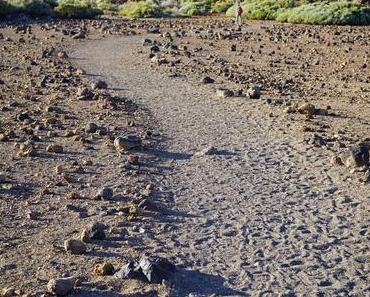 Gastbeitrag: Umfallen – aufrappeln – Krone zurechtrücken – und los!