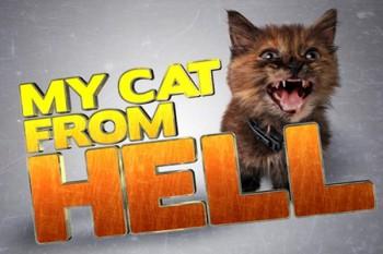 Serienvorstellung: My Cat from Hell