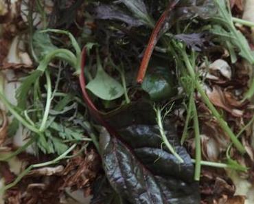 Chicoree + Radicchio Tart