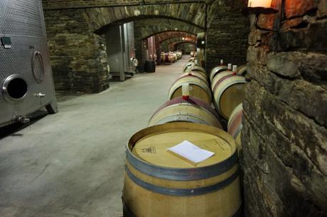 300.000 Liter lagern in den zahlreichen Holzfässern. Rund 1,6 Millionen Liter Wein finden Platz in Weintanks.