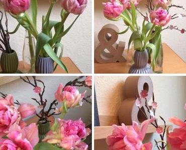 H54F – oder – Von Aprilwetter im März, Tulpen und Frühlings-Feeling