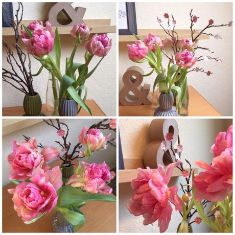 H54F – oder – Von Aprilwetter im März, Tulpen und Frühlings-Feeling