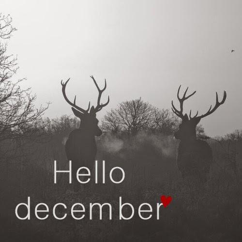 hello december -