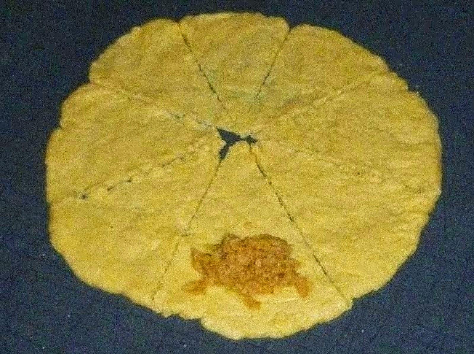 Hörnchen mit Apfel Hörnchen mit Apfel
