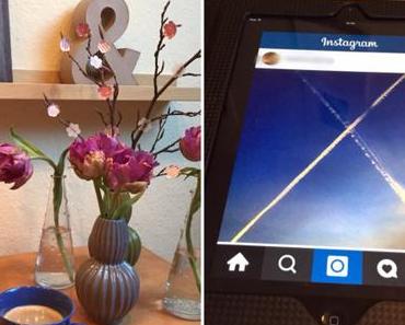 12 von 12 im März 2015 -oder – Bilder eines Vorfrühlingtage