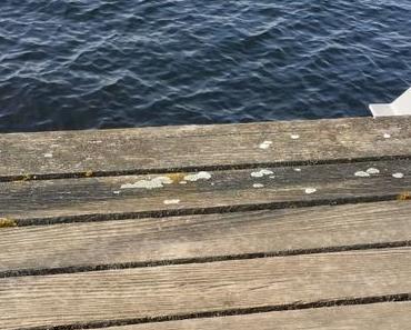 Ich bin wieder hier….