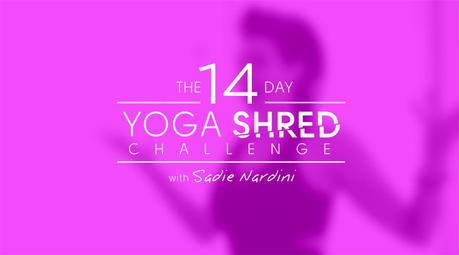 Yoga Shred Challenge