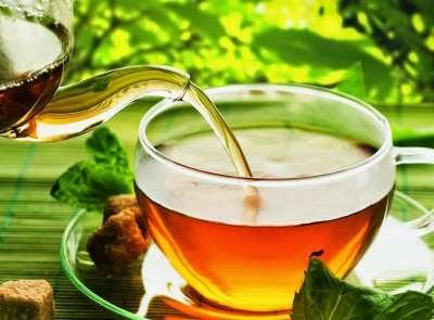 Der Alleskönner Moringa-Tee