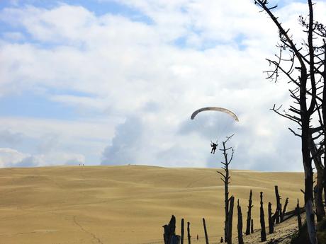 Dune-Pilat-Paraglider-alone