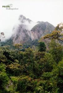 Madagaskar Nationalpark Marojejy SAVA Norden PRIORI Reisen