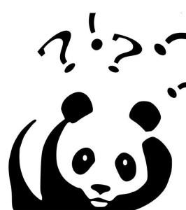panda-stellt-sich-fragen-10696