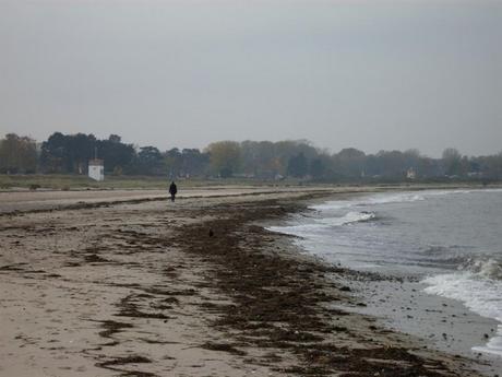 [View back 2008] Frierend auf Priwall