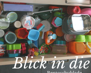 Welche Box als Bentobox?