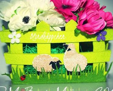 DM Lieblinge Box März 2015