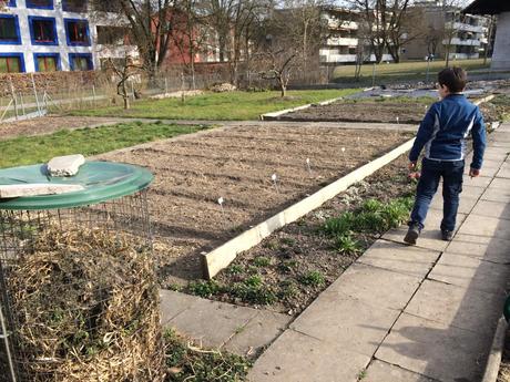 Schülergarten: Die Gartensaison für Schulkinder ist eröffnet