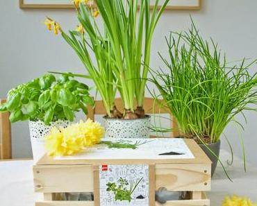 Frühlingsdeko und Kräutergarten