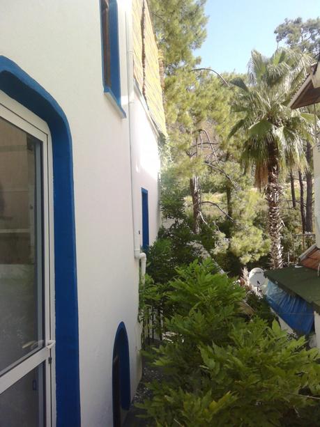 Vom Balkon: Blick in den Palmen-Garten.
