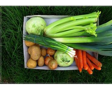 Kohlrabi-Frühlings-Süppchen & AlexanderSalz