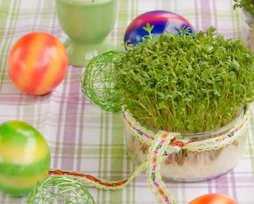 Ideen fürs Osterbrunch/Geschenke aus der Küche: Jetzt Kresse aussäen!!!