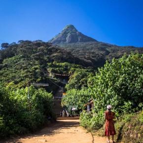 Wanderung auf den Adam´s Peak in Sri Lanka: So überstehst Du die 5.200 Stufen auf den Gipfel