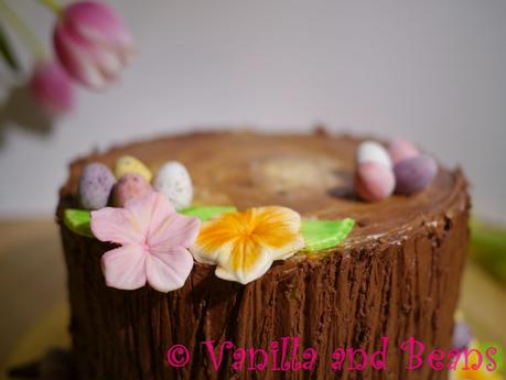 Our Easter Cake (Hidden bunny)