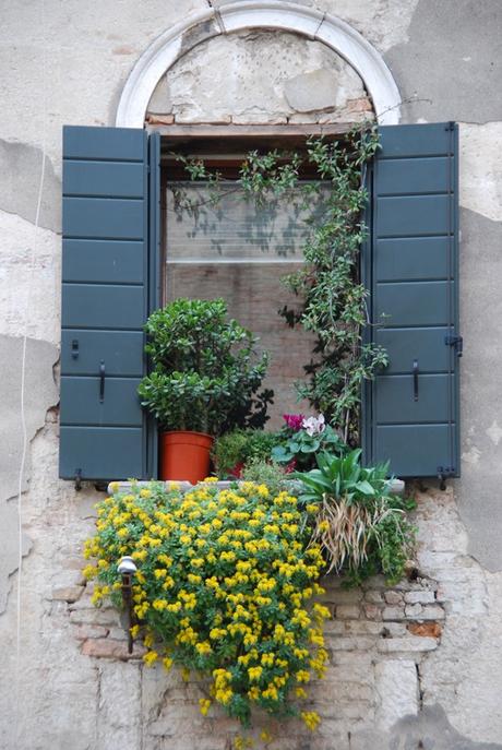 22_Fenster-in-Venedig-Italien