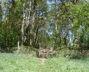 [View back 2009] Seele baumeln lassen