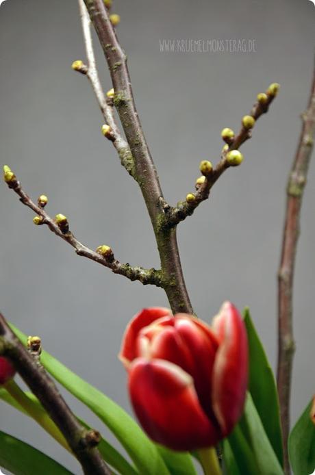 rote Tulpen (05) mit Kirschblütenzweigen am FridayFlowerday