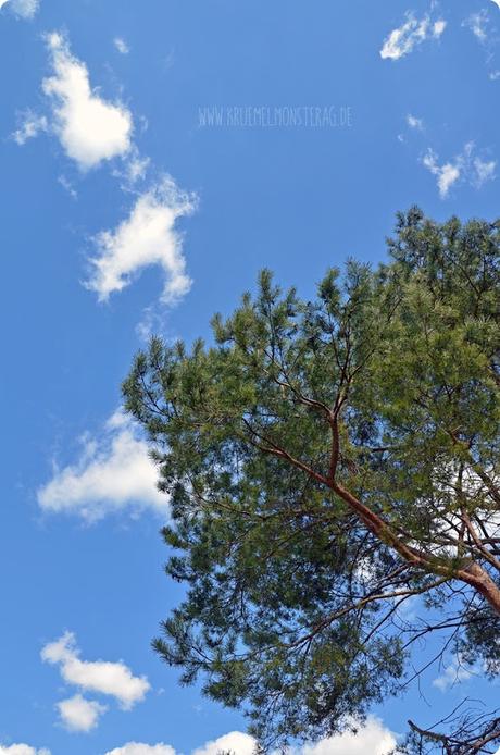Osterhimmel (02) in Gernsheim am Rhein