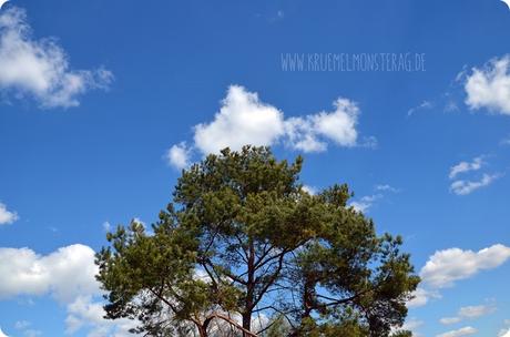 Osterhimmel (01) in Gernsheim am Rhein