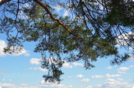 Osterhimmel (03) in Gernsheim am Rhein