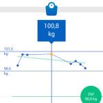 Gewicht-Statistik-Körperanalysewaage