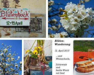Kirschblüten-Wanderung im Markgräflerland 2015