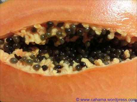 comp_CR_CIMG5221_Papaya