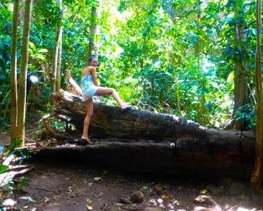 Reiseanekdoten #2: In Flip Flops durch den Dschungel