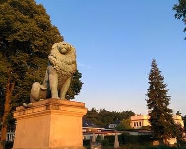 25. Havellauf - Eine Ära geht zu Ende