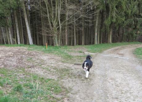 Kräuterweg Neunkirchen-Seelscheid